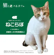 ねこらぼ 様