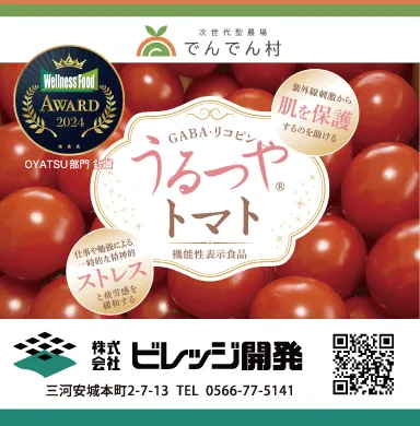 ビレッジ開発 様