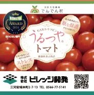 ビレッジ開発 様